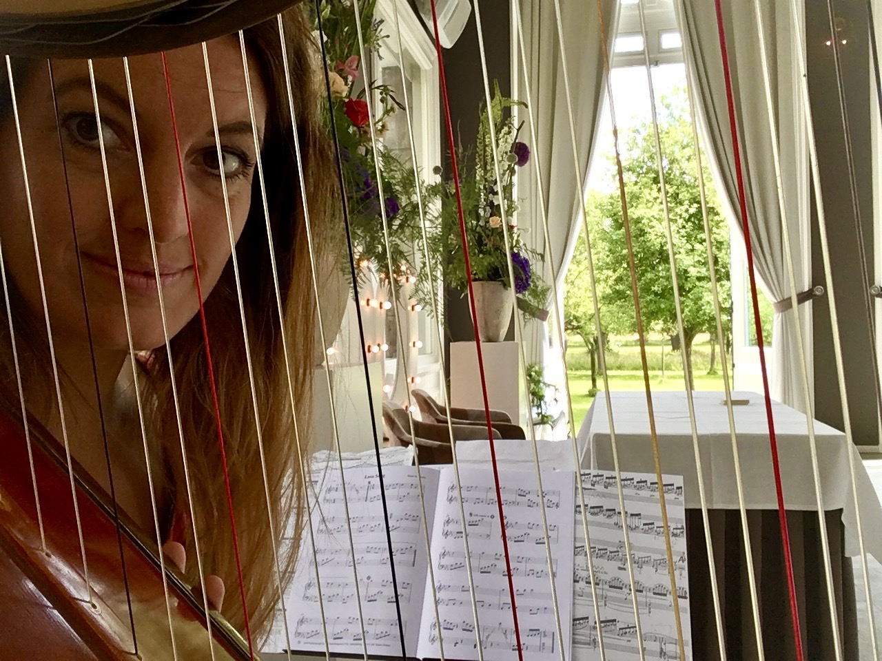 Livemuziek door Harpiste Esther Jansen